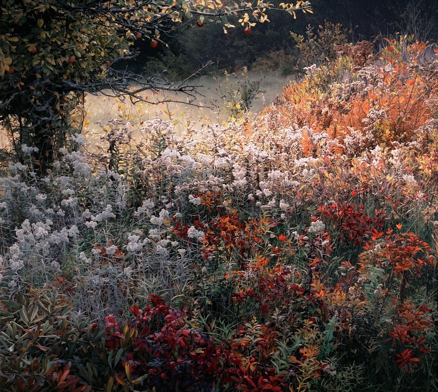 Autumn, oil and tempera painting