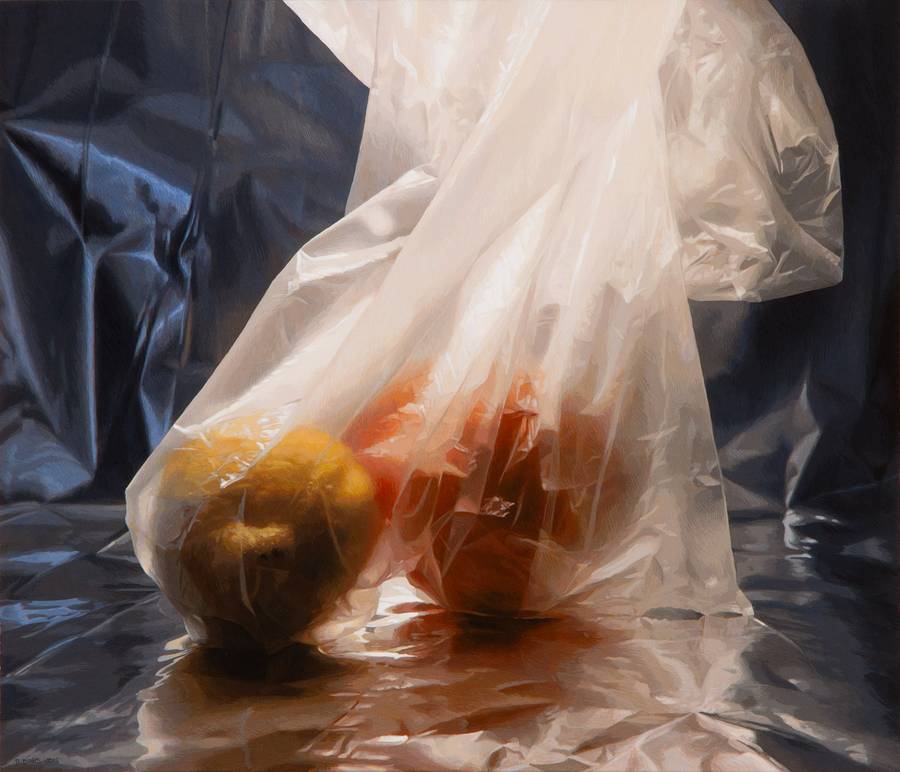 Plastic Bag with Lemon and Orange, acrylic painting